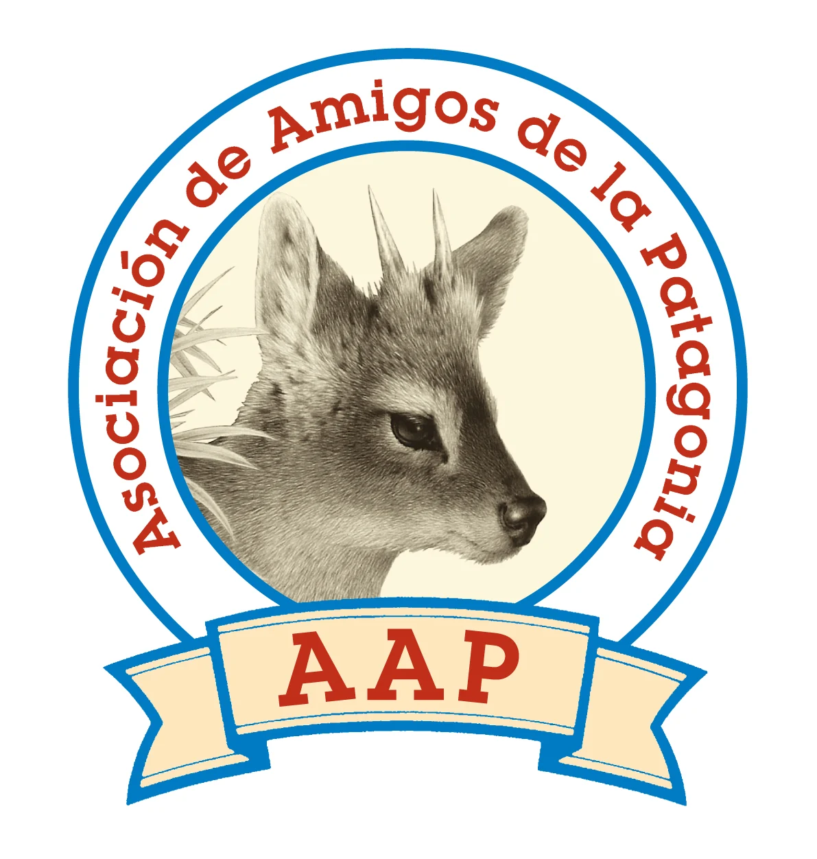 logo AAP (2).jpg