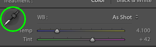 como editar suas fotos no Lightroom