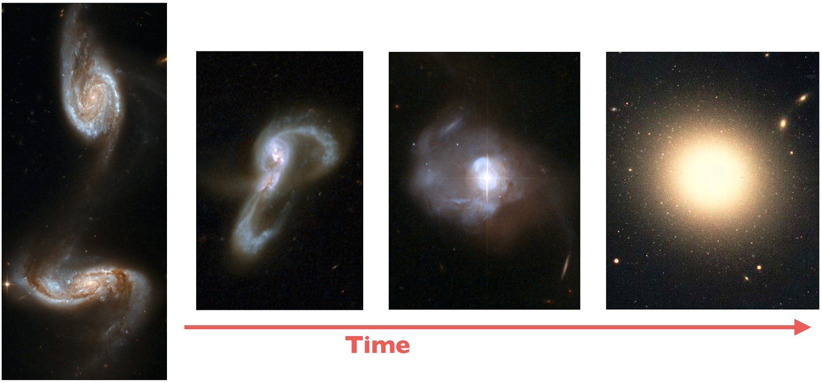 HST images of three luminous infrared galaxies and an elliptical galaxy (i.e., the byproduct of a gas-rich galaxy merger). The galaxies are shown in the evolutionary time sequence of a gas-rich merger event where the AGN is optically visible in the latter stages. Galaxy mergers build up the stellar bulges and central supermassive black hole masses, and feedback from both processes help to shape the stellar mass functions of galaxies. Nearby normal galaxies have stellar bulge-to-supermassive black hole mass ratios of ~ 1000, which is indicative of a regulatory process occurring in the central regions of galaxies during active phases of growth.