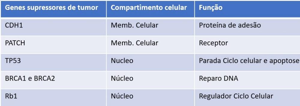 câncer - exemplos de genes supressores de tumor em tabela