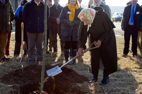 queen elizabeth ii and the princess royal plant trees at sandringham