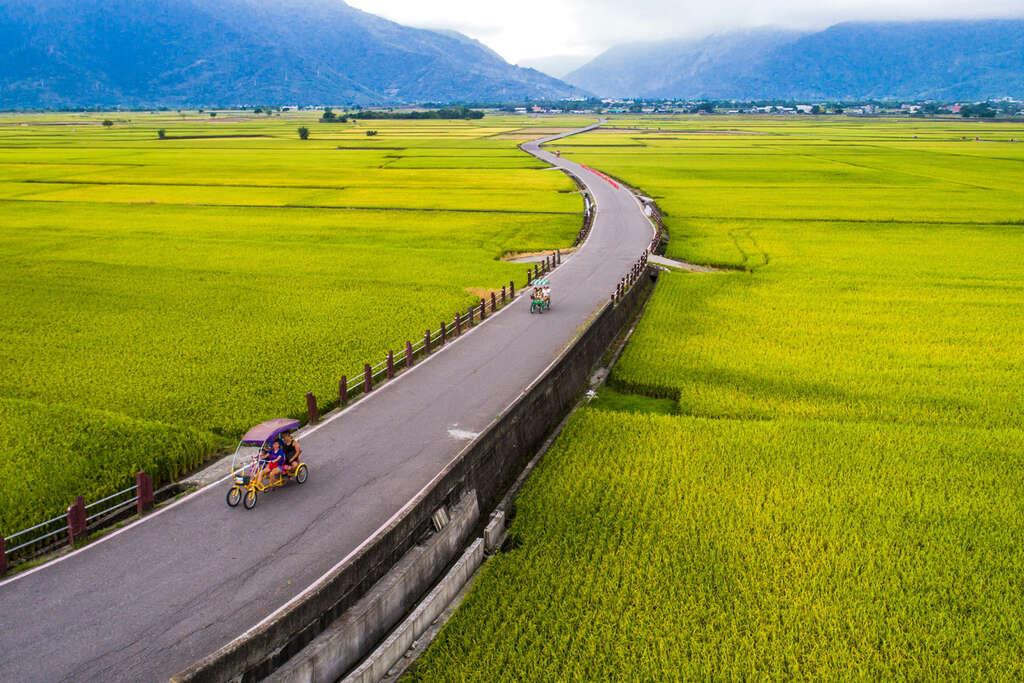 正式名稱為錦新三號道路