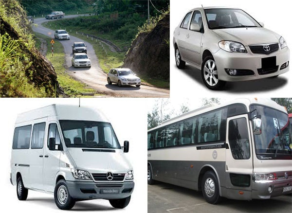 We provide various cars designed suitable for your trip