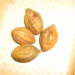 Ink Nut