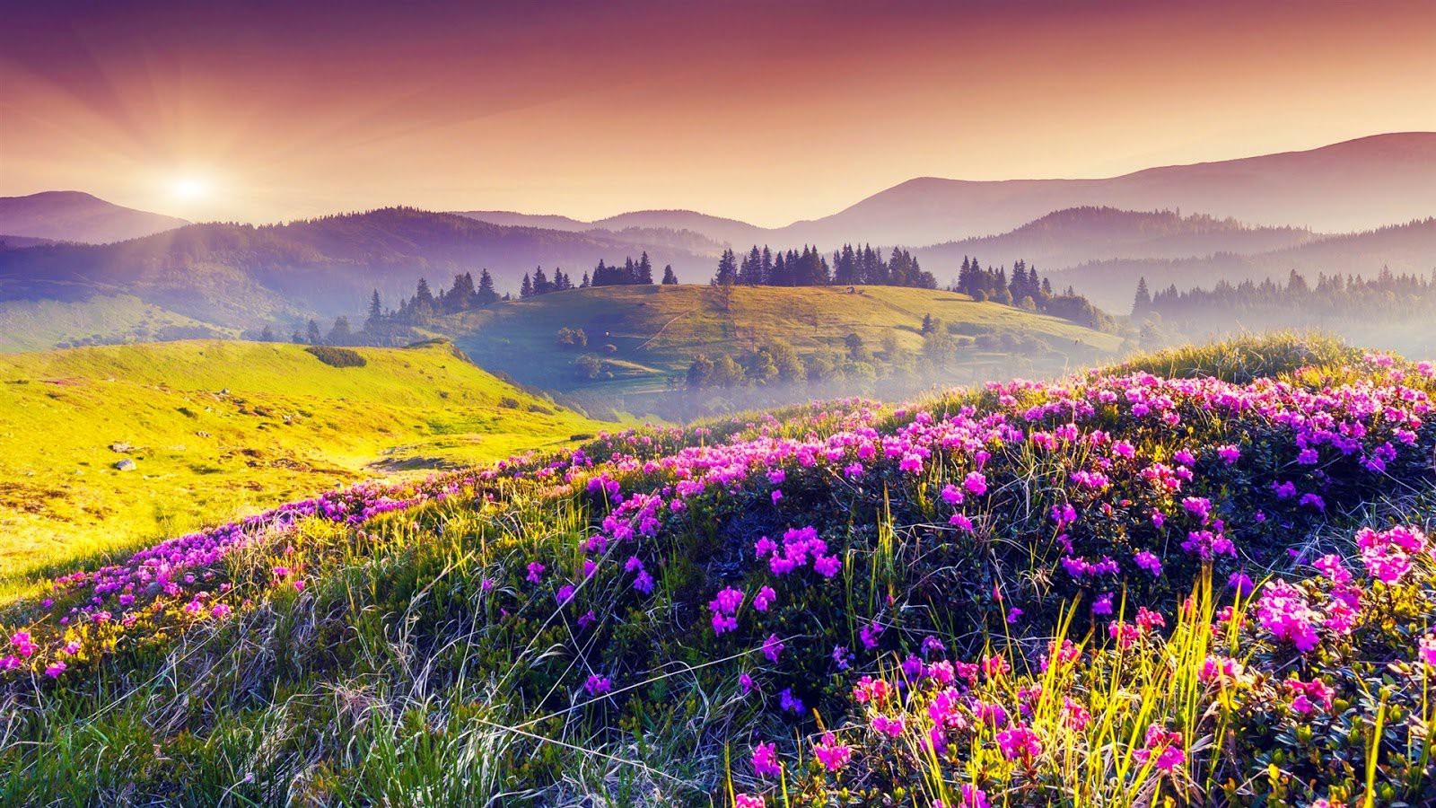 Top 150 hình nền thiên nhiên 4K đẹp nhất thế giới cực nét