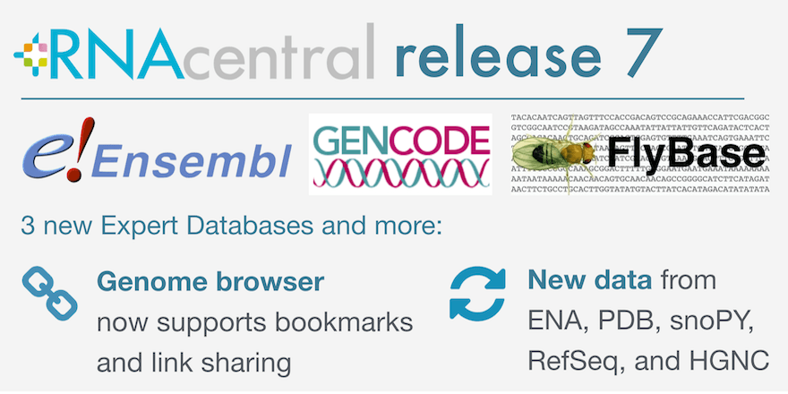 Overview of RNAcentral release 7