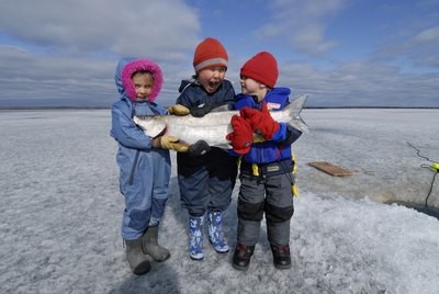 Northern Contaminants Program Environment Canada