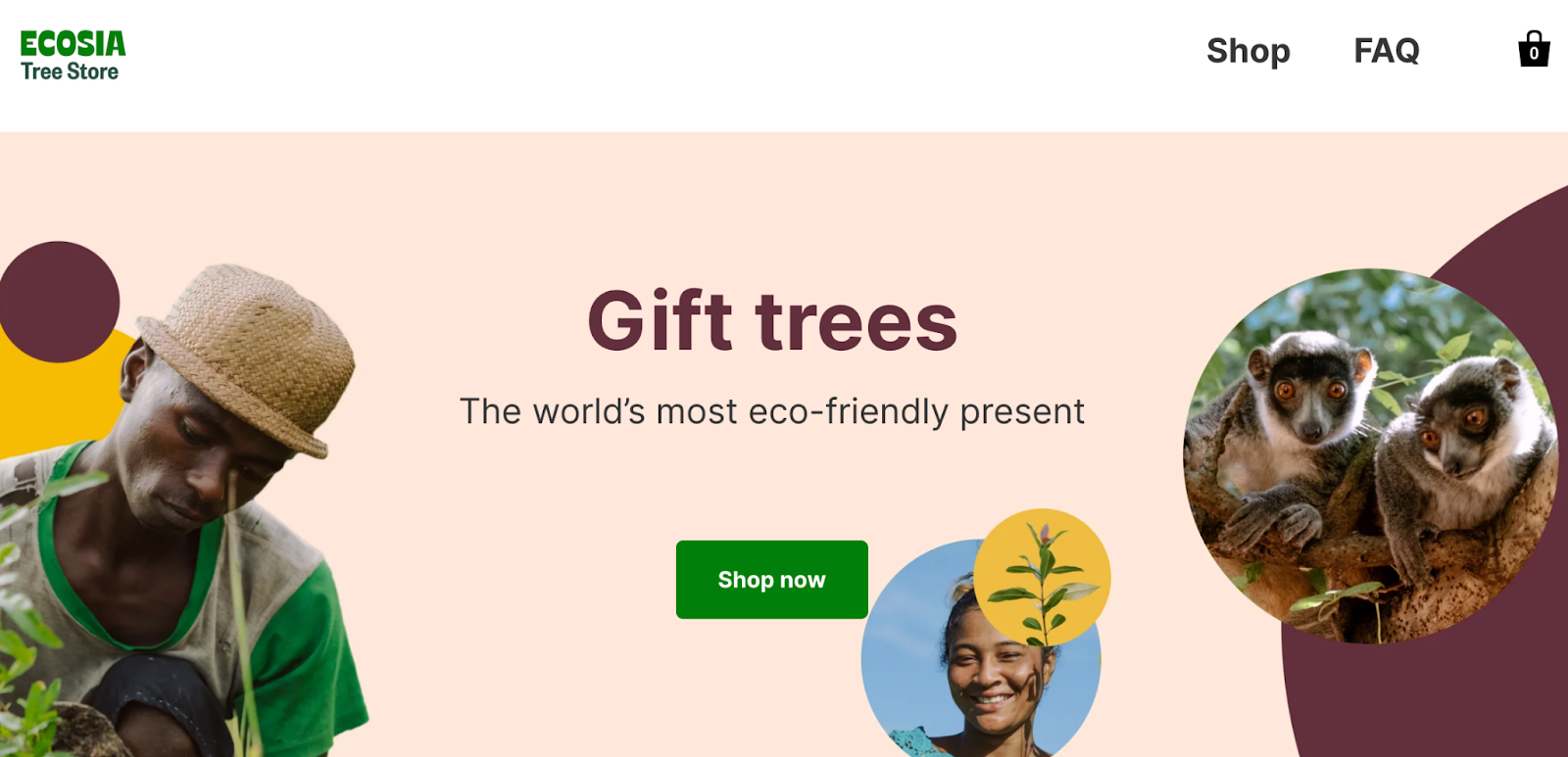 Screenshot of Website page Ecosia Tree Plant