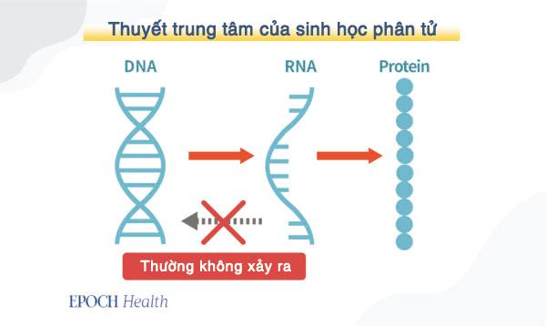 Trung Cộng đã khiến virus phát triển lan tràn như thế nào?