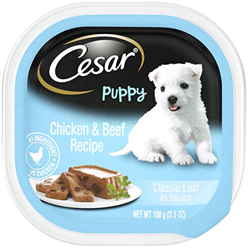 Cesar Gourmet Puppy Comida húmeda para perros