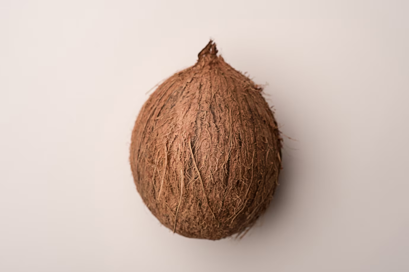 Coconut