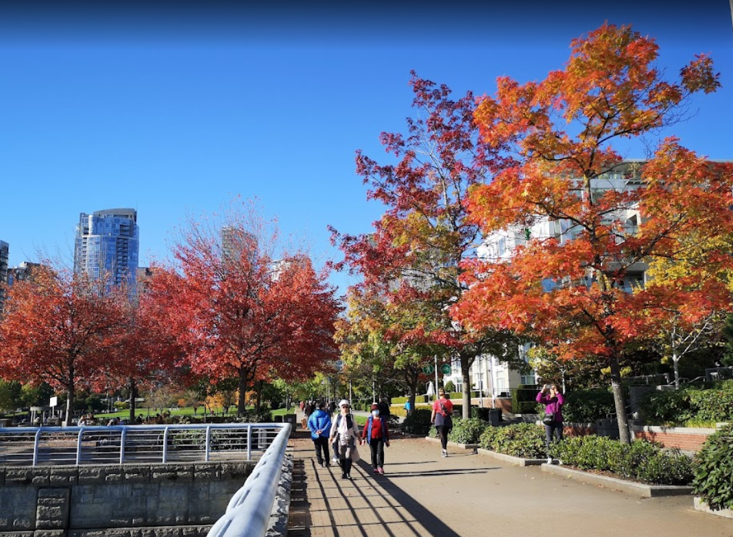 False Creek Seawall Fall Colours Bike Ride