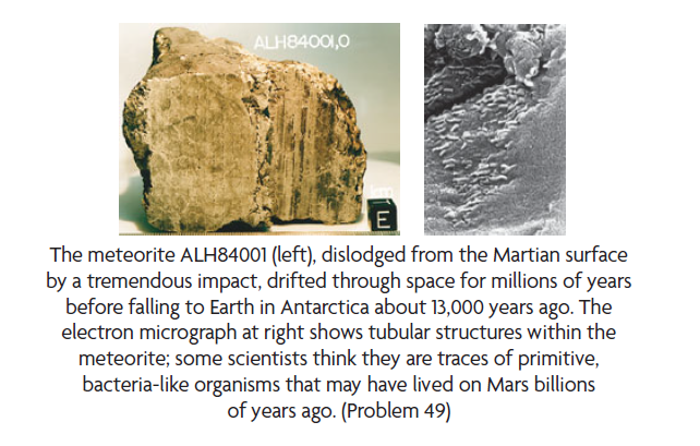 Meteorites from Mars Several meteorites found in | StudySoup