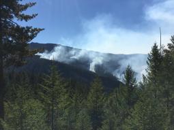 Light smoke rising from the West Fork of Dutch Creek on the Abney Fire.