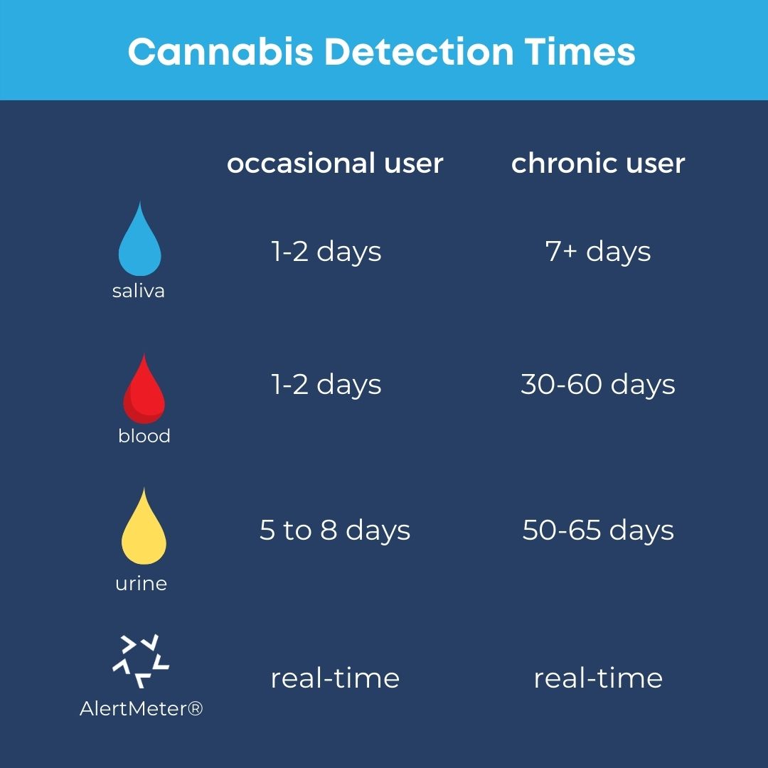 cannabis detection times