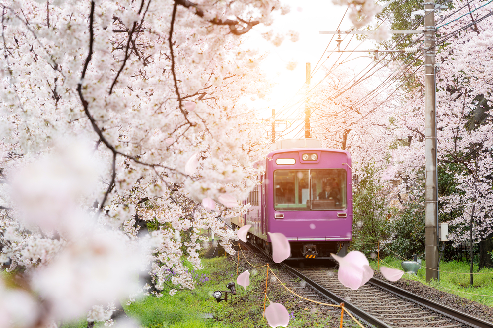 縱橫遊wwpkg 日本鐵路周遊券 Japan Rail Pass