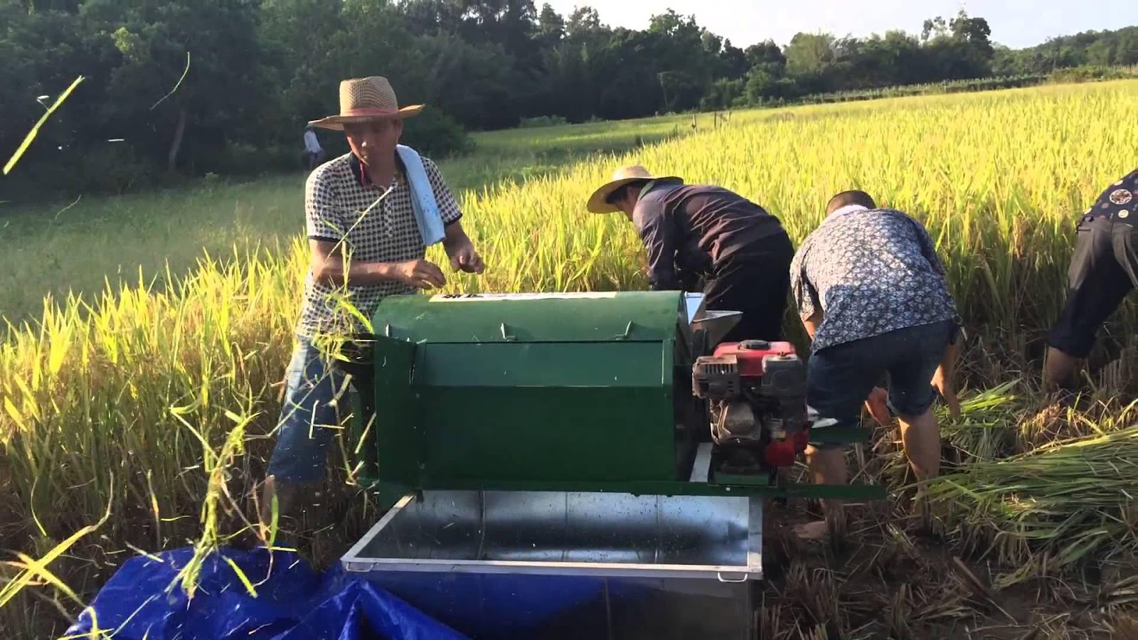 Máy nông nghiệp mini – Bạn đồng hành cùng nhà nông trên mọi nẻo đường.