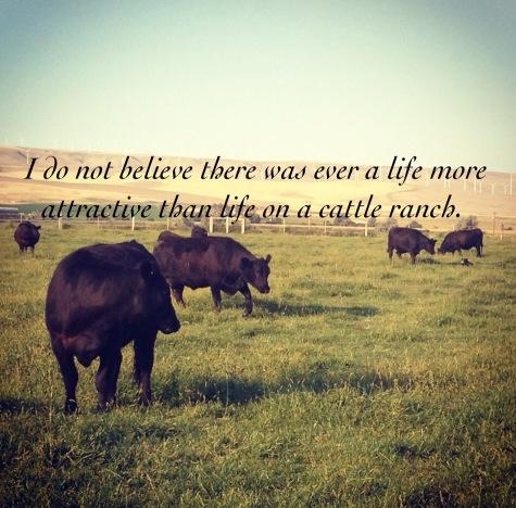 cattle ranch quote.jpg