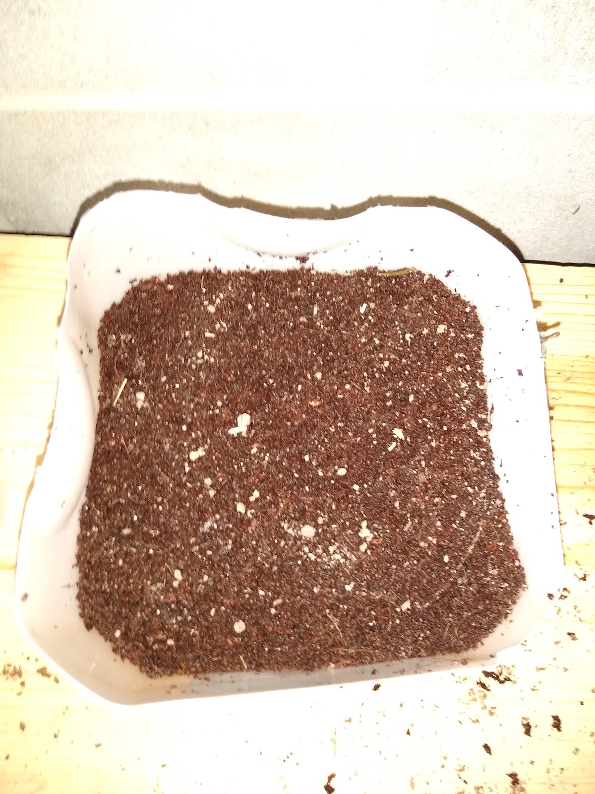 coconut coir seed starting mix