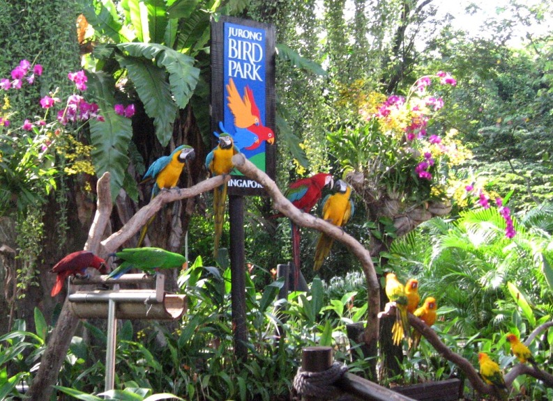 bird park.jpg