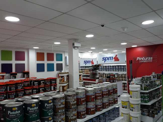 Comercial Salvador Pacheco Mora Es SPM - Tienda de pinturas