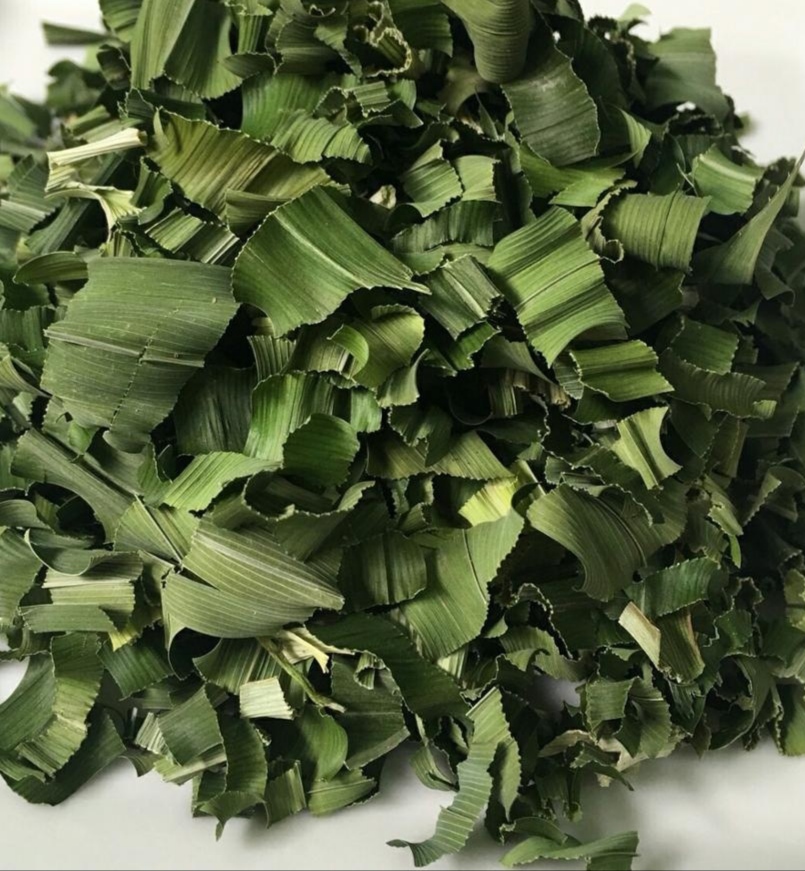 Dried Pandan Leaf Rampe Pandanus Plant Leaves Fresh 