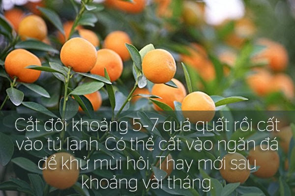 Mẹo vặt cần thiết để khử mùi tủ lạnh hiệu quả 6