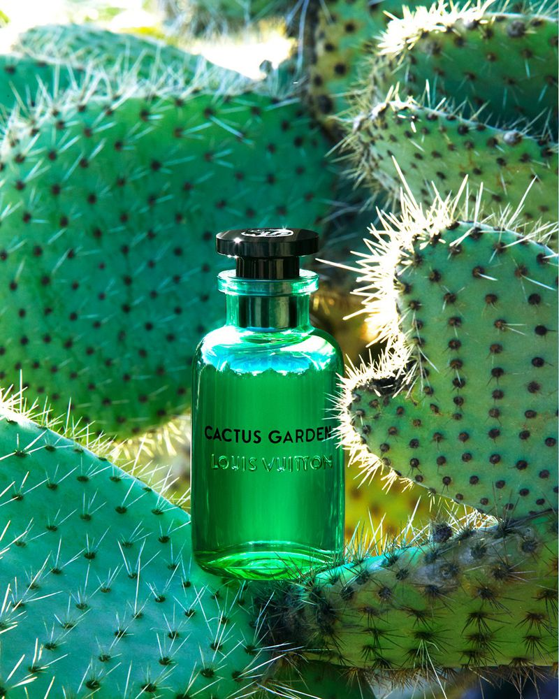 Dầu thơm Louis Vuitton Cactus Garden EDP tươi mát, thư giãn hợp với ngày hè nắng nóng