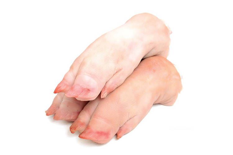 Móng giò heo có rất nhiều công dụng với sức khoẻ