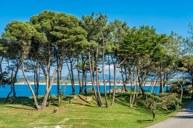 Playa de la Magdalena: Mejores lugares de Santander