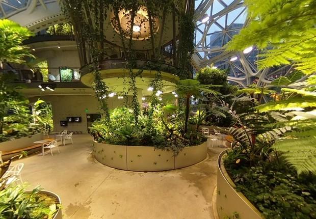 Escritório da Amazon ganha estufas tropicais "gigantes" - Época Negócios |  Empresa