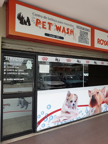 Pet Wash