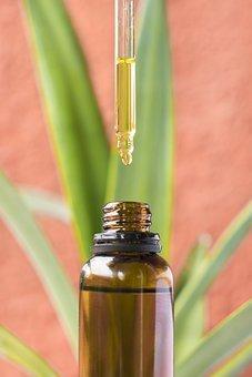 Cbd Oil, Cannabidiol, Cannabinoid