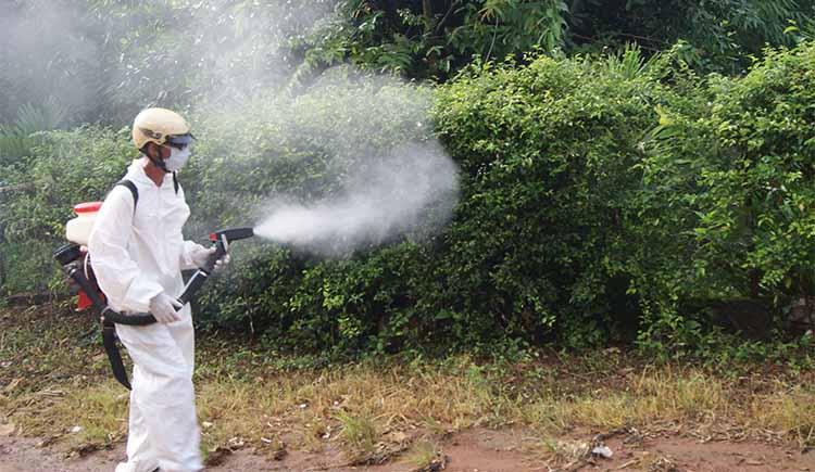  Phun thuốc muỗi tại Bắc Giang