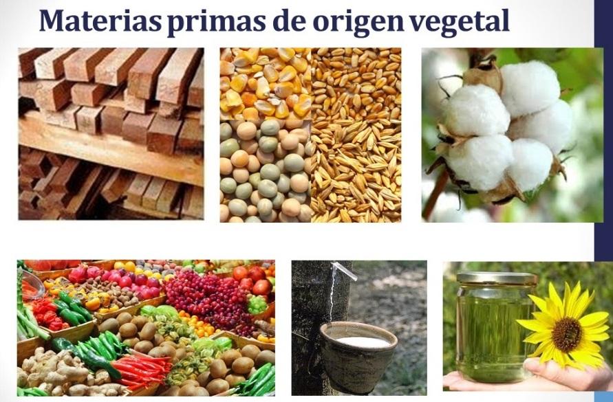 Resultado de imagen de materias primas de origen vegetal