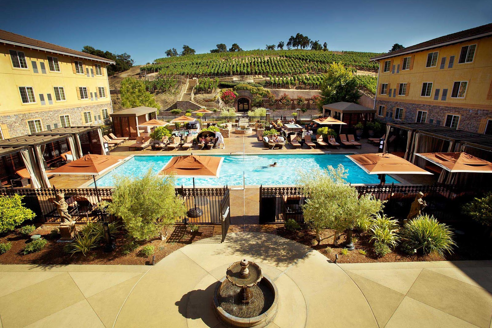 Landscape view of pool and vineyard at Meritage Resort & Spa, location of Food Photo Affair