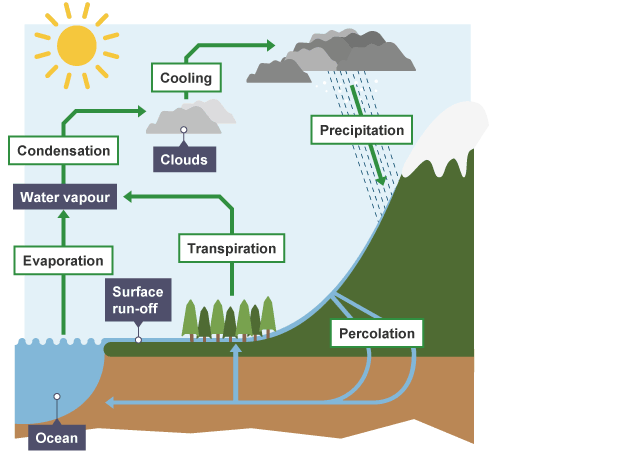 hypothesis in water cycle