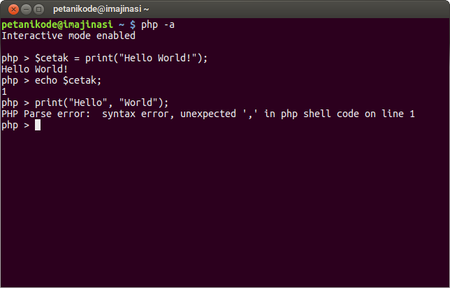 Fungsi Print pada Console PHP