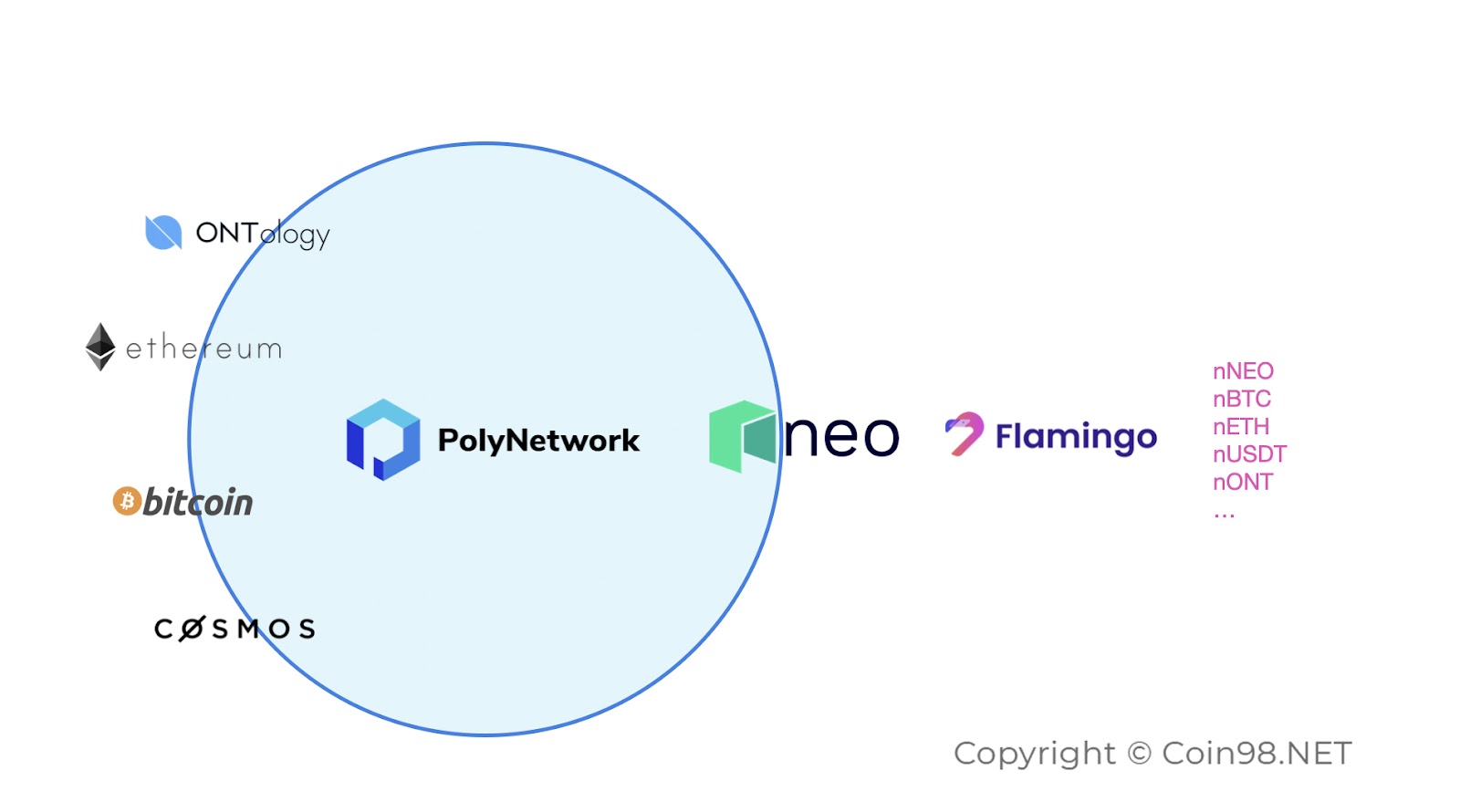 flamingo dựa trên neo