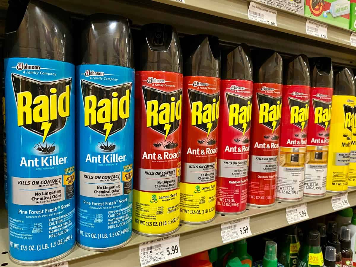 raid