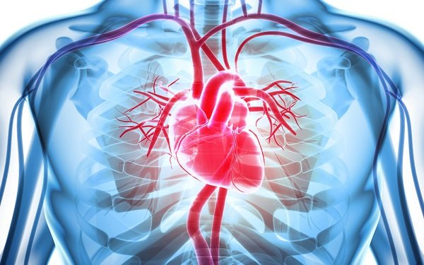 Thấp tim: nguyên nhân, chẩn đoán và điều trị - YouMed