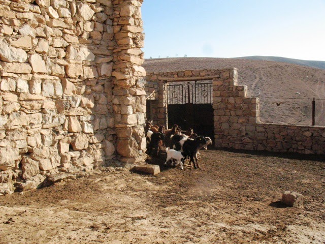 Hеделя с монахами монастыря Mar Musa (Сирия)