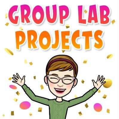 Bitmoji of Dr. Sjogren's excitement for the "Group Lab Projects" written overhead. 
