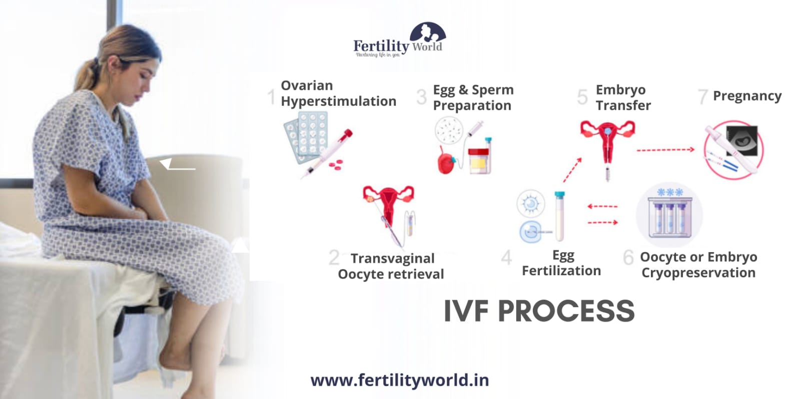 Process of IVF treatments