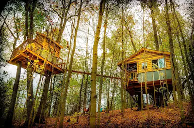 The Aliyah Treehouse with a Swinging Bridge - A Pete Nelson Treehouse in Kentucky with Hiking Trails