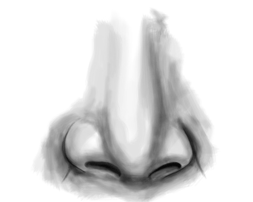 realistic nose sketch