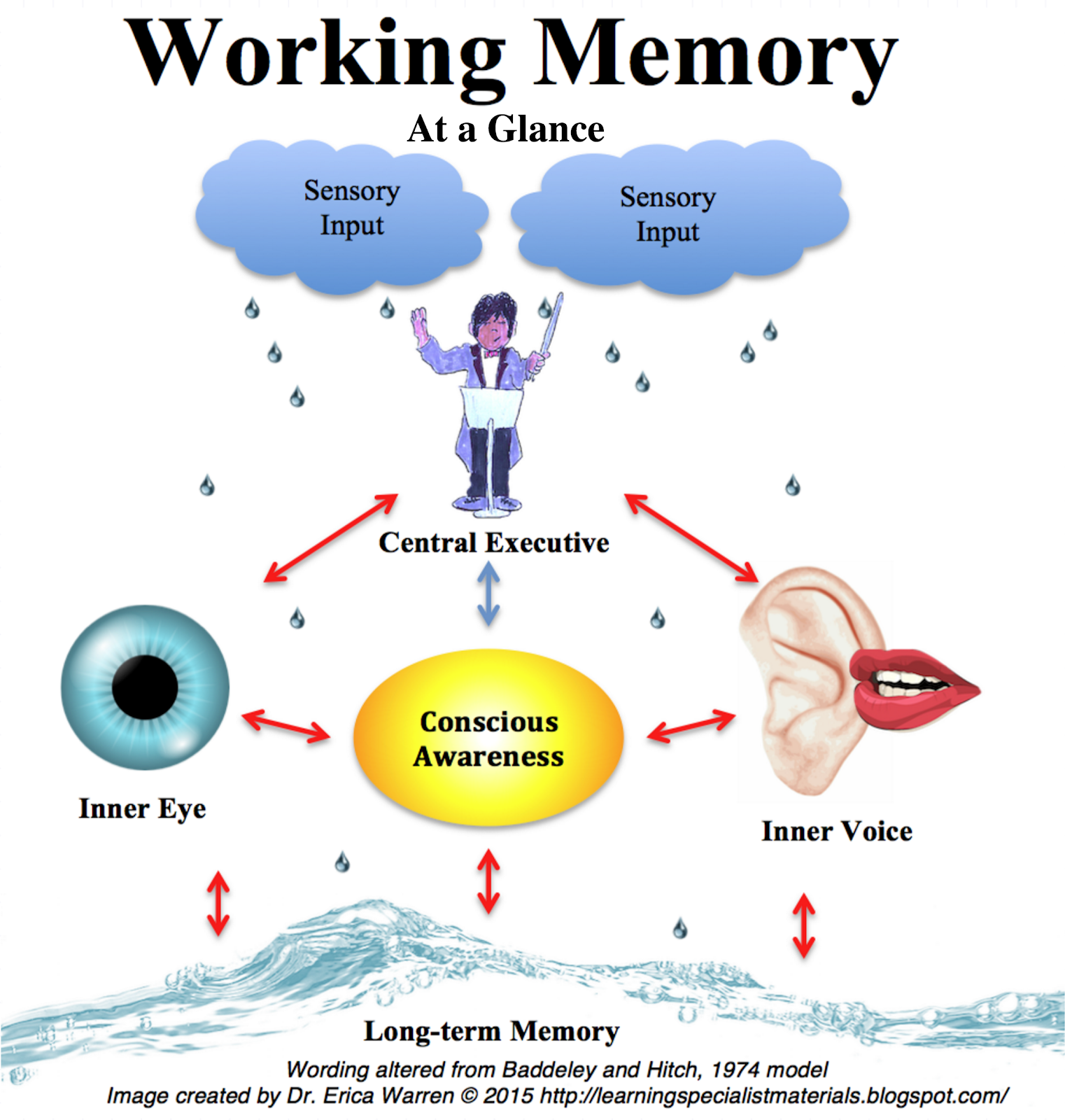 What is working memory?