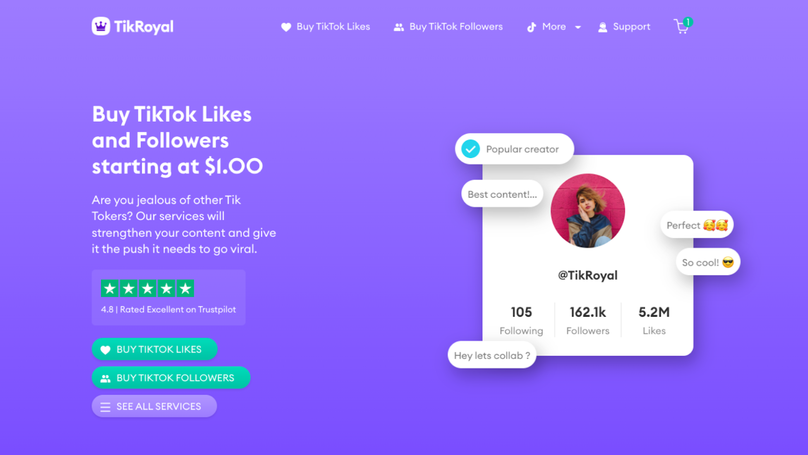 How to Buy TikTok Likes in 2022 - TechBullion
