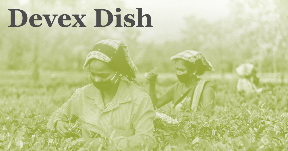 Devex Dish: How farmers in climate-vulnerable Honduras are coping