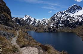 Image result for Routeburn Track